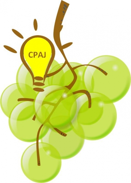 Logo Bourse CPAJ
